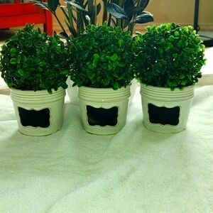 3 Ceramic pots/planters 3.5 x 3.5"
